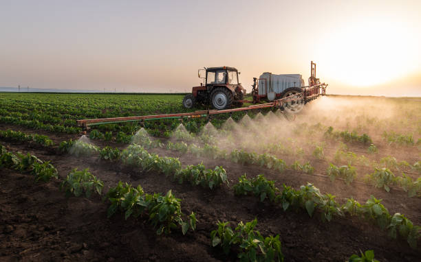 Best Pest Inspection Near Me  in Pleasant Hill, IA