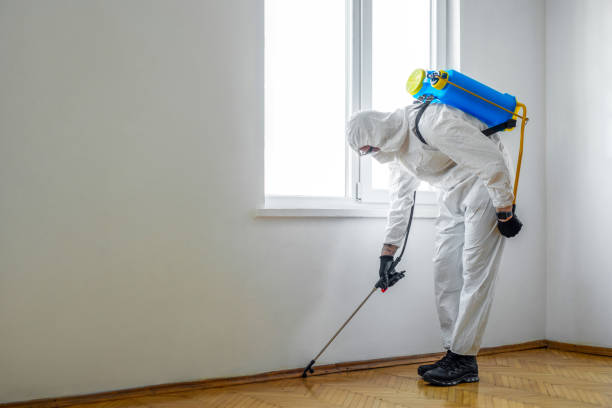 Trusted Pleasant Hill, IA Pest Control Experts