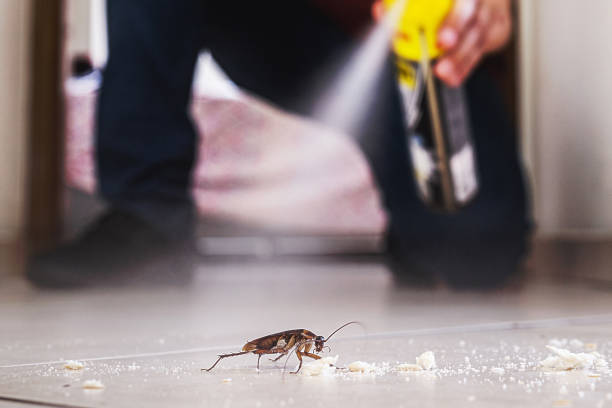 Professional Pest Control in Pleasant Hill, IA