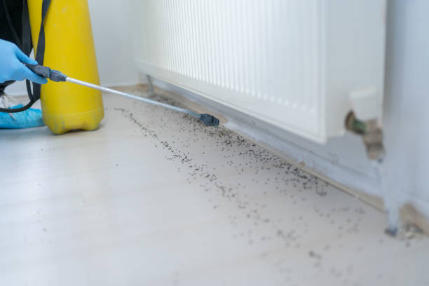 Best Pest Removal Services  in Pleasant Hill, IA