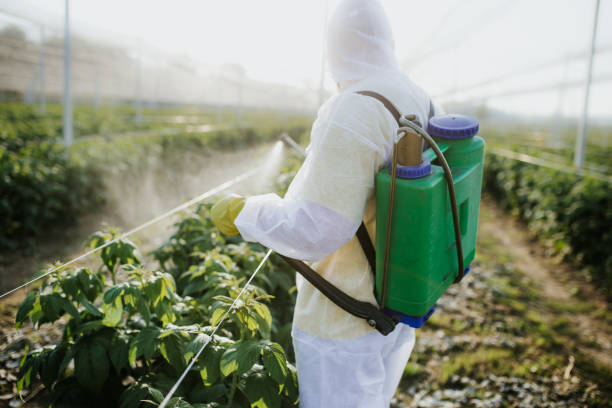 Best Pest Removal Services  in Pleasant Hill, IA